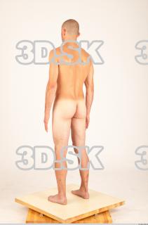 Body texture of Hanus 0042